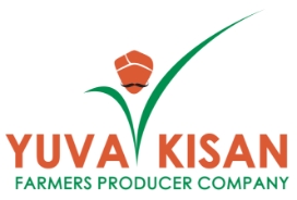 Yuvakisanlogo